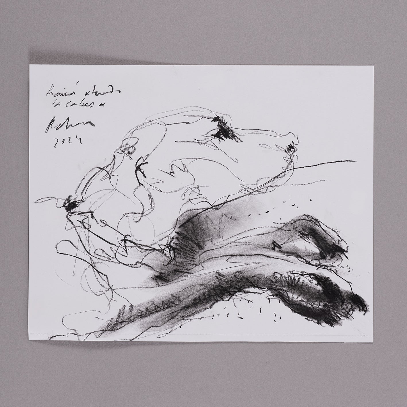 Kainu alzando la cabeza