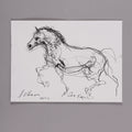 Caballo al paso
