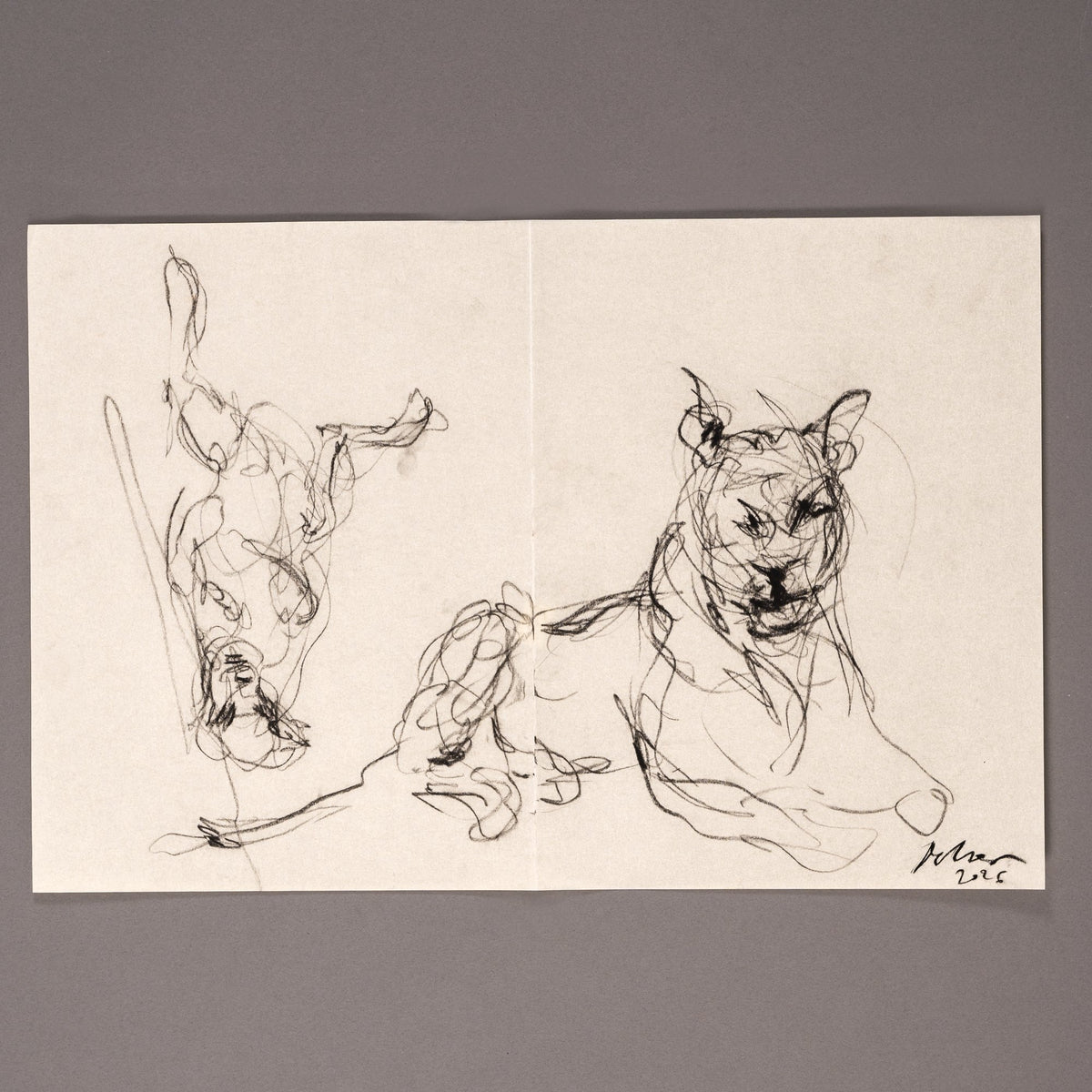 Dos felinos