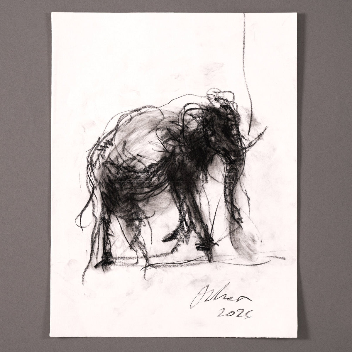 Elefante en marcha