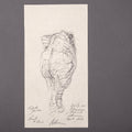 Elefante yéndose, back to face