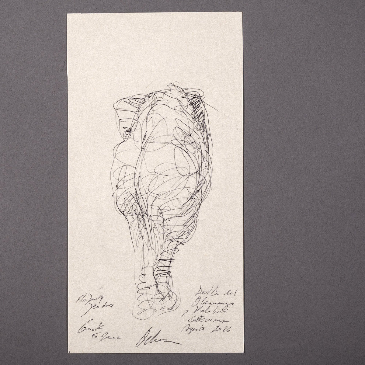 Elefante yéndose, back to face