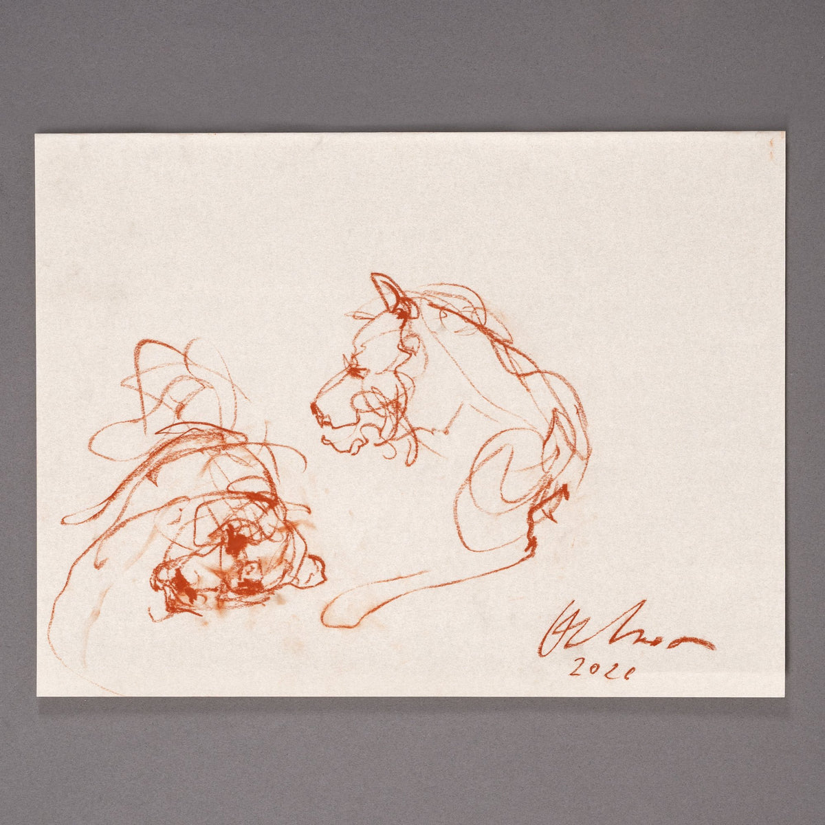 Pareja de leones