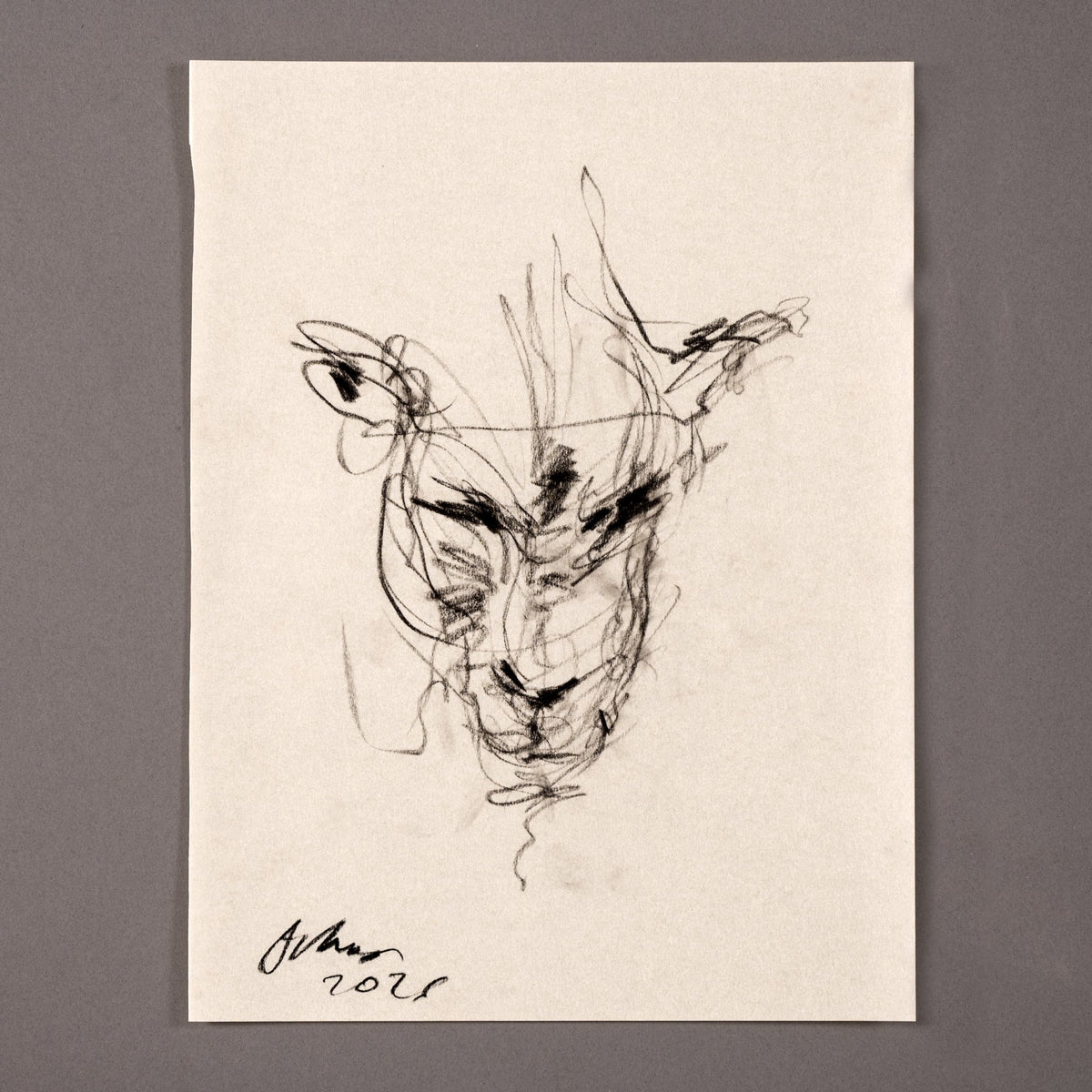Rostro de león